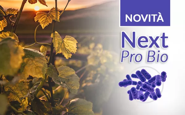 Vinext Next ProBio