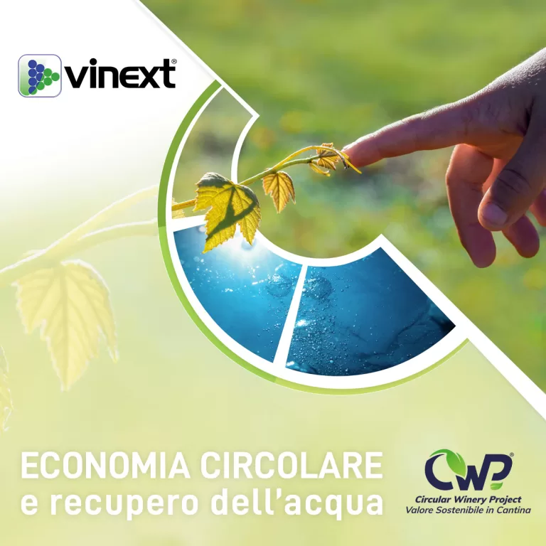 Speciale Vinitaly 2022