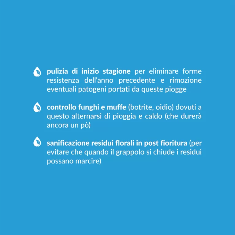Pulizia e difesa in vigna