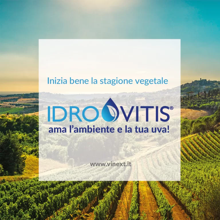 Pulizia e difesa in vigna