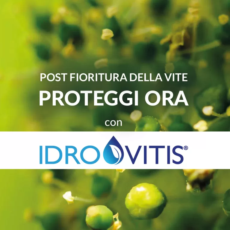 PROTEZIONE VITE IN POST-FIORITURA