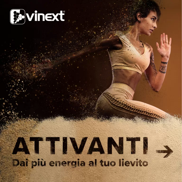 Sul nuovo numero di L’Enologo