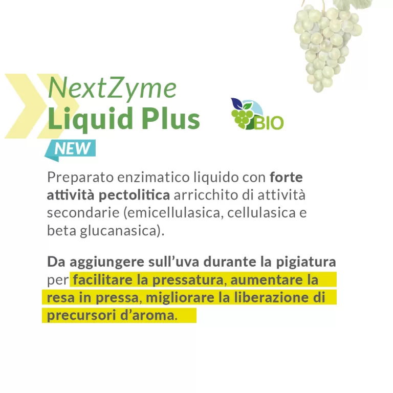 Risolvi le criticità vendemmia 2022 con gli Enzimi da pressa
