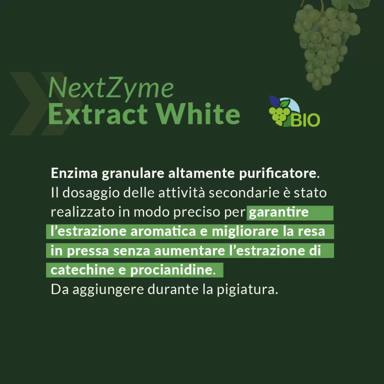 Risolvi le criticità vendemmia 2022 con gli Enzimi da pressa