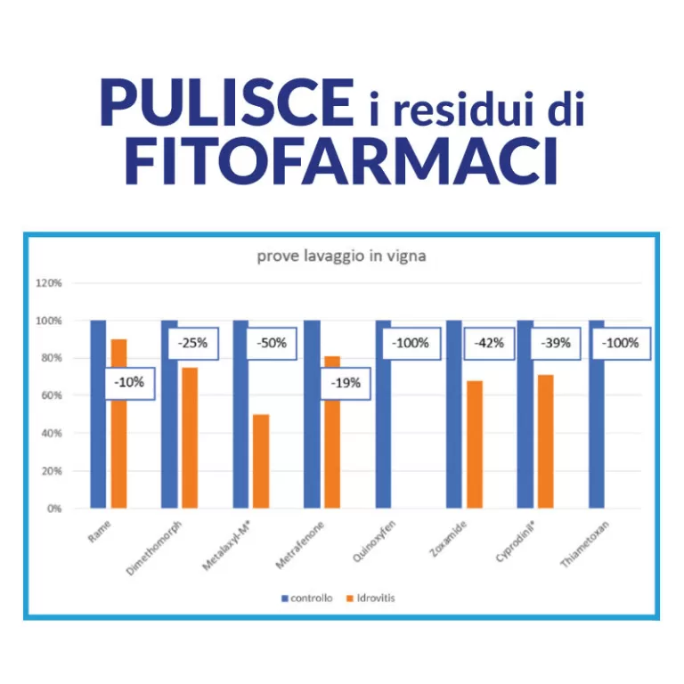 La Vendemmia con IDROVITIS