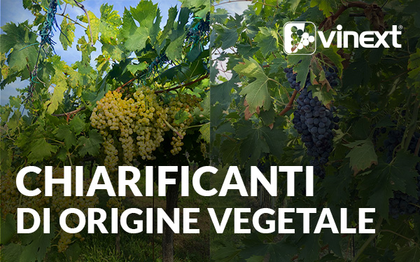 CHIARIFICANTI di origine vegetale