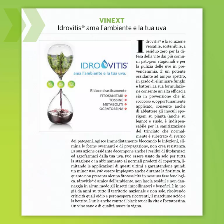 Idrovitis®: Corriere Vinicolo nr.6/2024