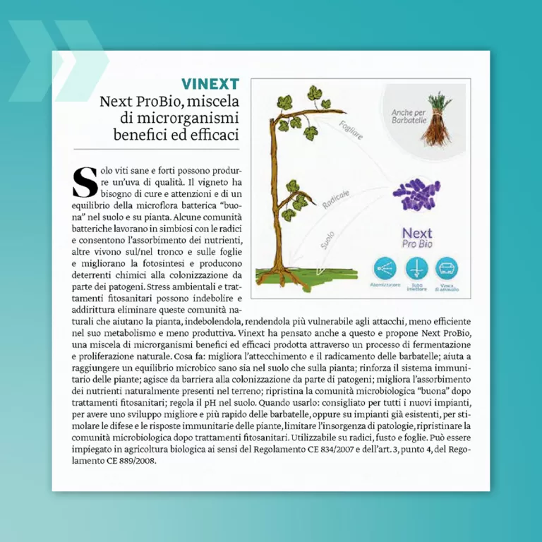 Next ProBio: Corriere Vinicolo nr.9/2024