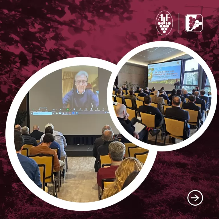 Degustazione Pinot nero e i suoi territori: dialogo e degustazione