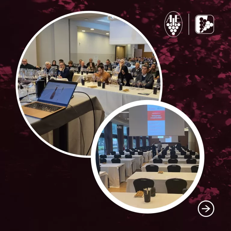 Degustazione Pinot nero e i suoi territori: dialogo e degustazione