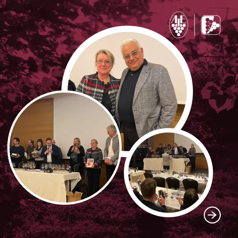 Degustazione Pinot nero e i suoi territori: dialogo e degustazione