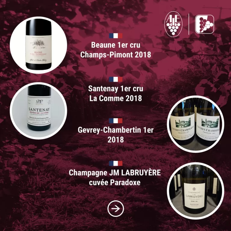 Degustazione Pinot nero e i suoi territori: dialogo e degustazione