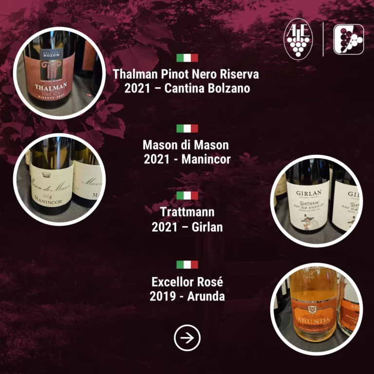 Degustazione Pinot nero e i suoi territori: dialogo e degustazione