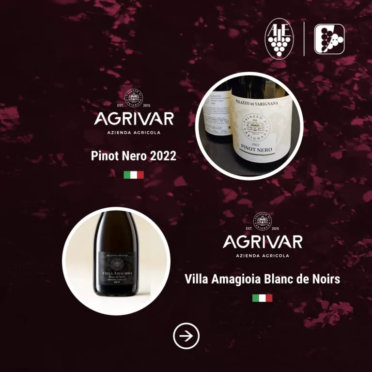 Degustazione Pinot nero e i suoi territori: dialogo e degustazione
