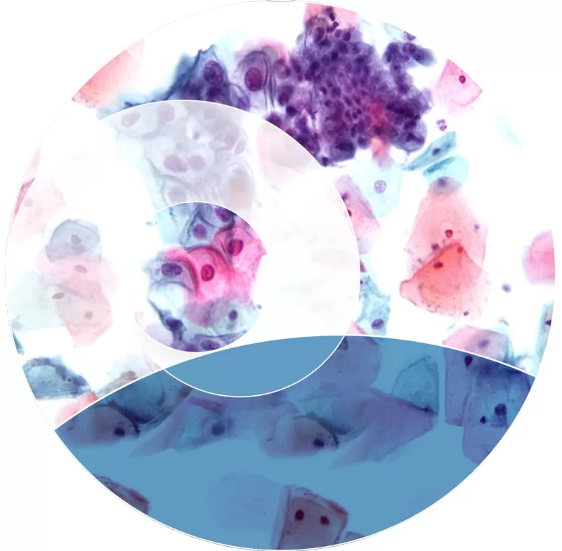 Miglioratori biologici