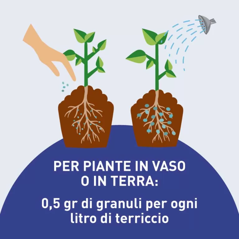 📊 Vinext S.p.A. – Bilancio 2025: crescita, utile e prospettive
