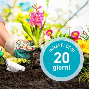 PolyGreen® KIT